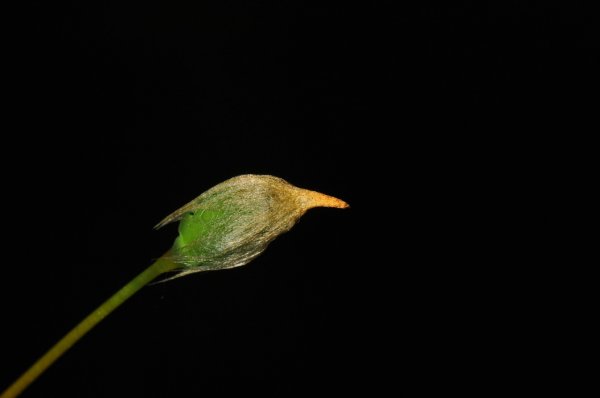 DSC_1797bbb700.jpg DSC_1797bbb700.jpg