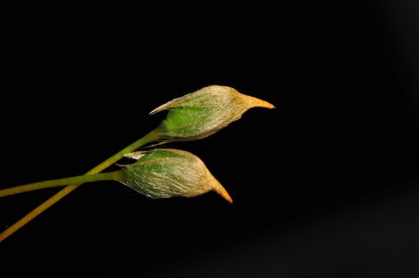 DSC_1849b700.jpg DSC_1849b700.jpg