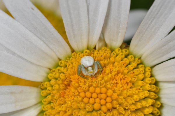 DSC_2305b700.jpg DSC_2305b700.jpg