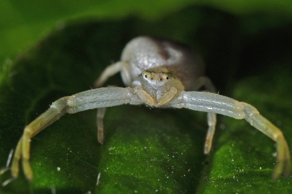 DSC_2480b700.jpg DSC_2480b700.jpg