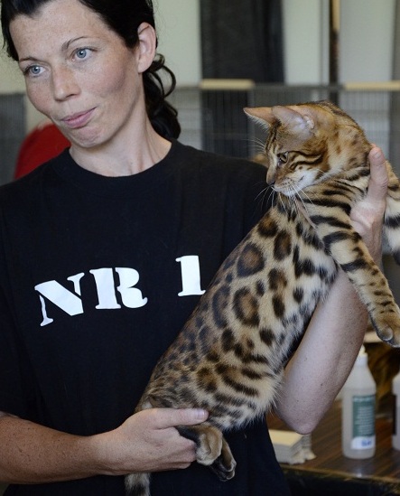 maestro 12 7 4 1.jpg