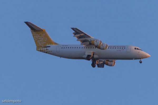 DSC_6431.jpg DSC_6431.jpg