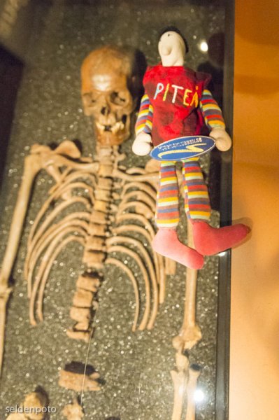 DSC_6448.jpg DSC_6448.jpg