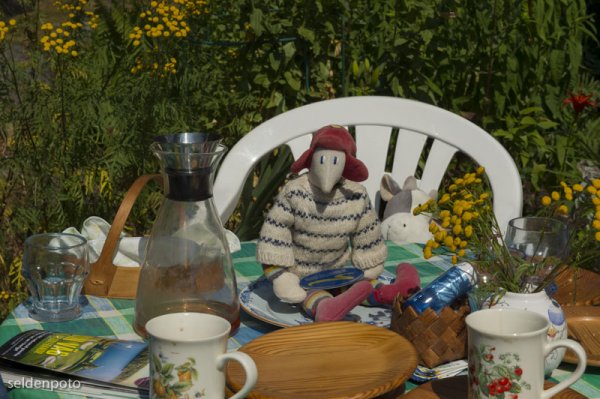 DSC_6550.jpg DSC_6550.jpg