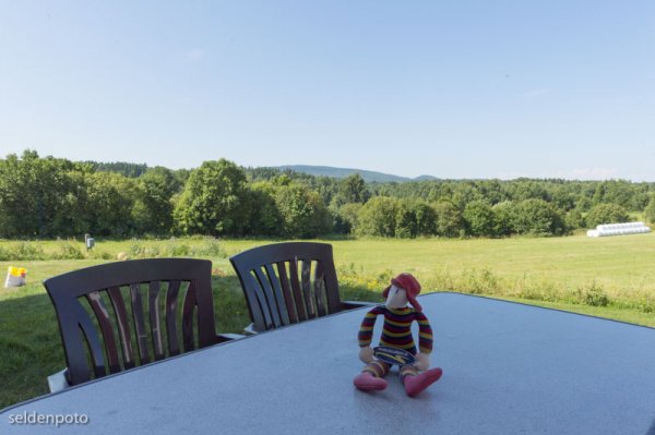 DSC_6557.jpg DSC_6557.jpg