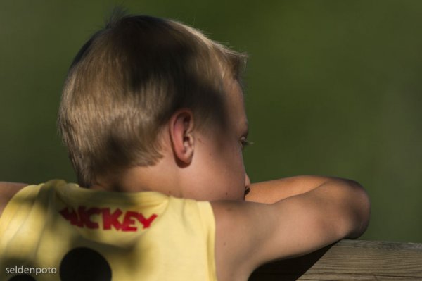 DSC_6571.jpg DSC_6571.jpg