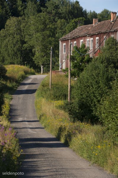 DSC_6613.jpg DSC_6613.jpg