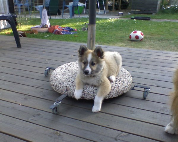 Parasollfot.jpg Parasollfot.jpg