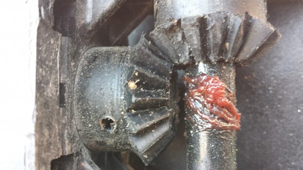 2013-08-06 12.53.40-2.jpg