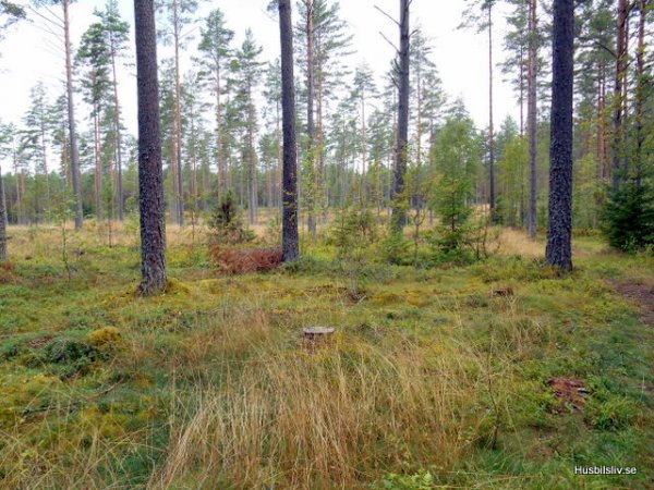 DSCN0034.JPG DSCN0034.JPG