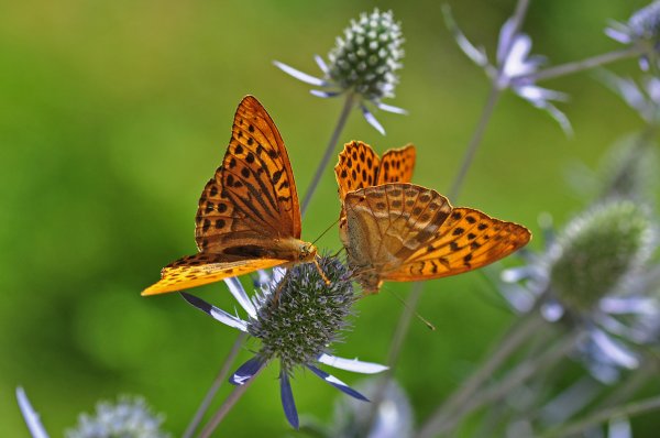 DSC_3020b800.jpg DSC_3020b800.jpg