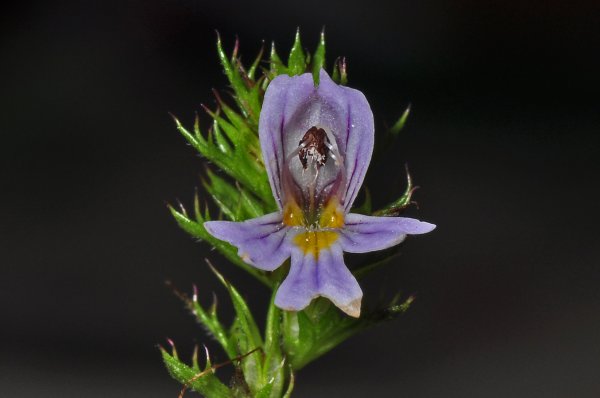 DSC_3399b900.jpg DSC_3399b900.jpg