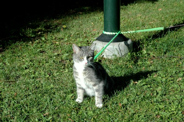 DSC_1966.JPG DSC_1966.JPG