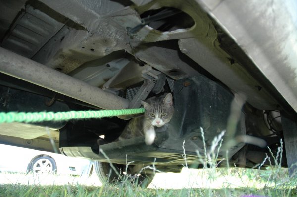 DSC_2017.JPG DSC_2017.JPG