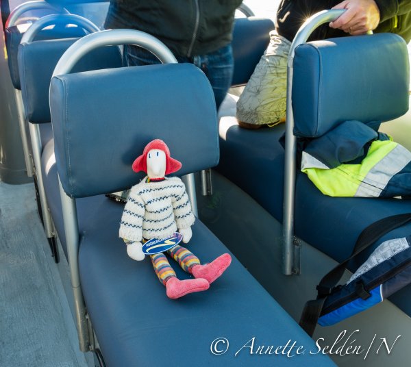 130827.204.jpg 130827.204.jpg