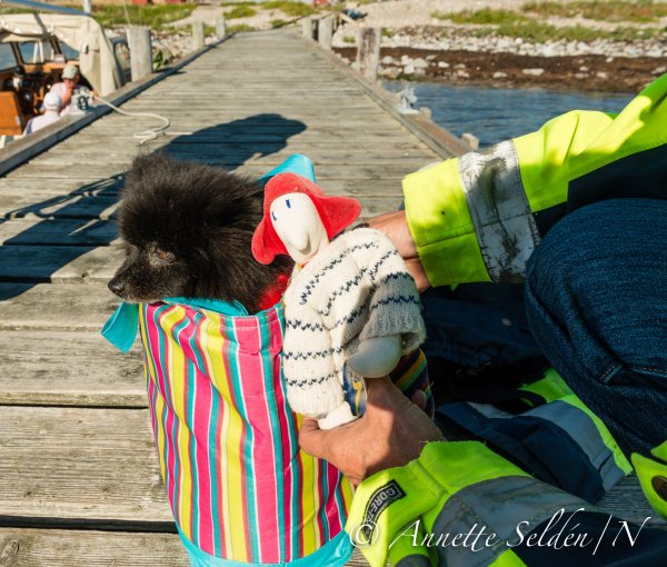 130827.200.jpg 130827.200.jpg