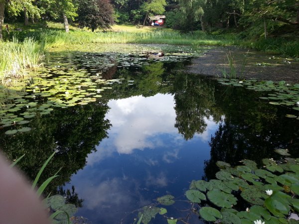 20130725_160007.jpg