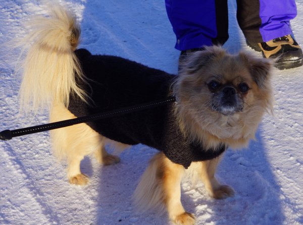 Kajsa med kläder1.jpg