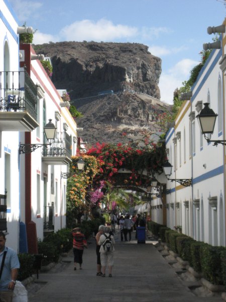 IMG_2824.jpg IMG_2824.jpg