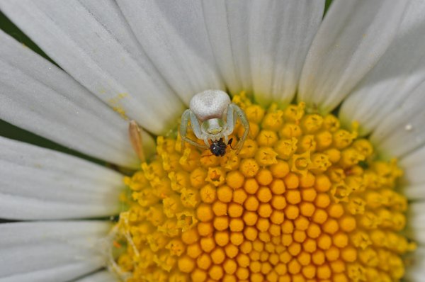 DSC_2307b800.jpg DSC_2307b800.jpg