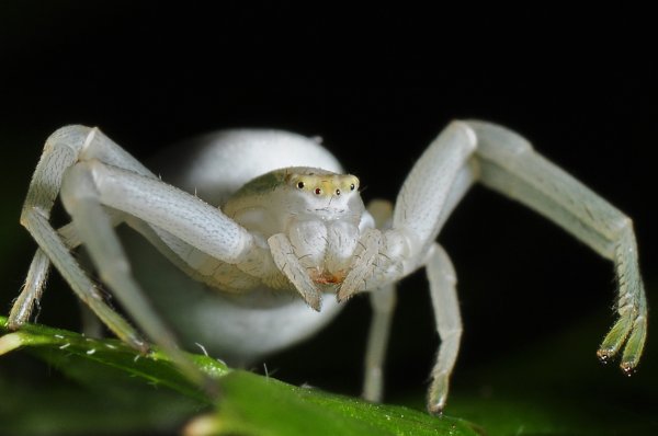 DSC_2442bb800.jpg DSC_2442bb800.jpg