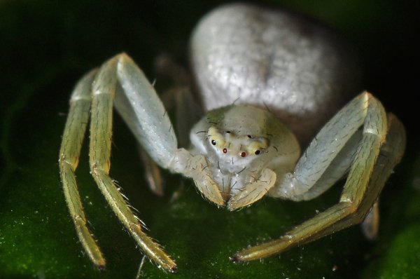 DSC_2478b800.jpg DSC_2478b800.jpg