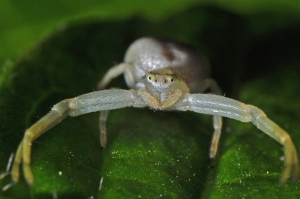 DSC_2480b800.jpg DSC_2480b800.jpg