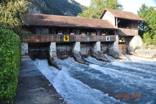 semester 2011 019.JPG