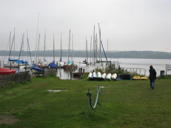 IMG_0555 (Large).JPG IMG_0555 (Large).JPG