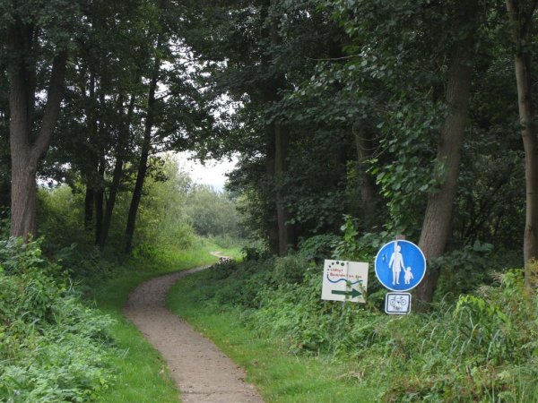 IMG_0556 (Large).JPG IMG_0556 (Large).JPG