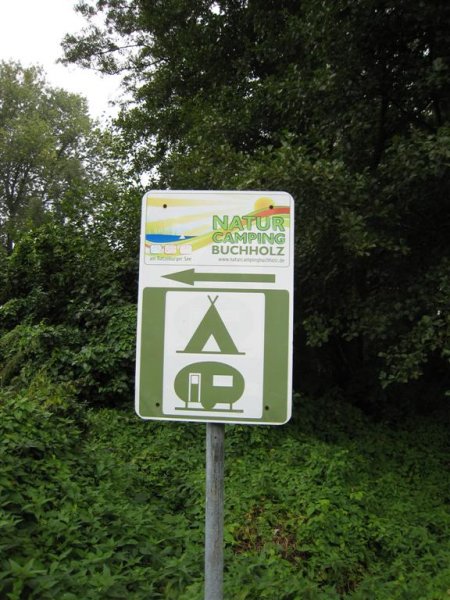 IMG_0557 (Large).JPG IMG_0557 (Large).JPG