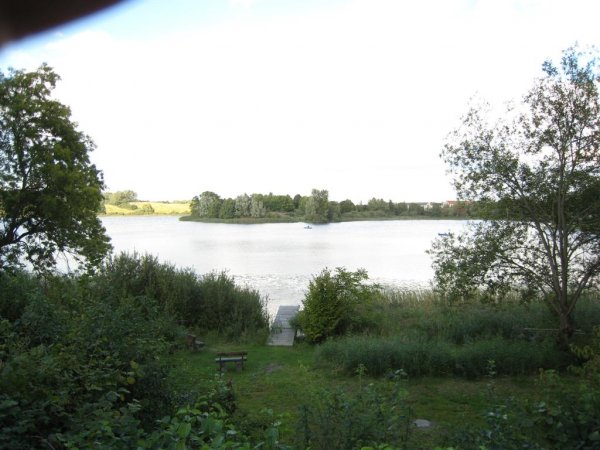 IMG_0561 (Large).JPG IMG_0561 (Large).JPG