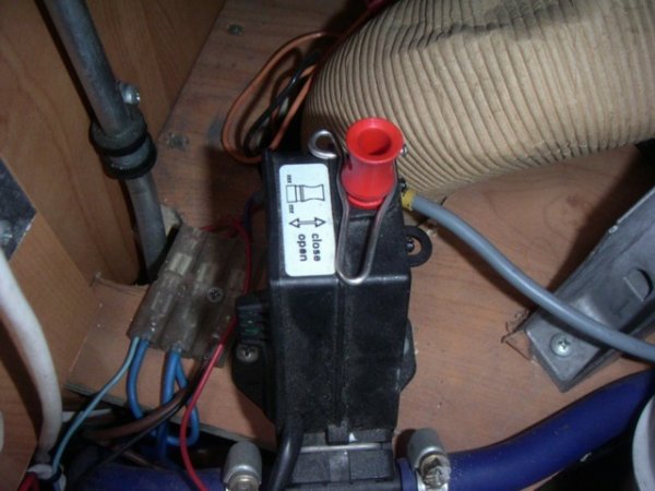 Tradsparr.jpg Tradsparr.jpg