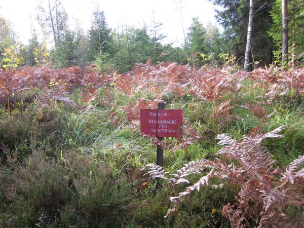 IMG_0571 (Large).JPG IMG_0571 (Large).JPG