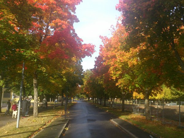 2013-10-06 10.03.58.jpg