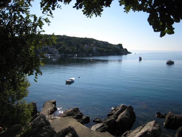 Bild 003 (Large).jpg