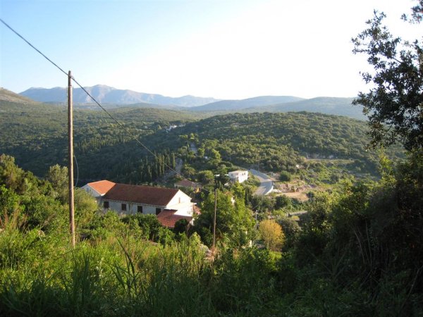 Bild 008 (Large).jpg