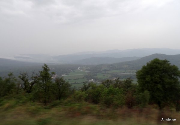 1341-004.JPG