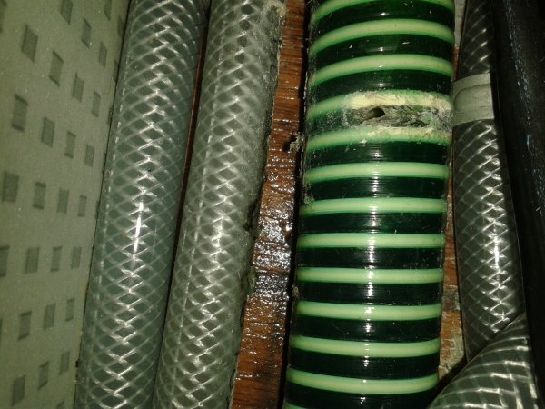 2013-10-08 18.20.11.jpg