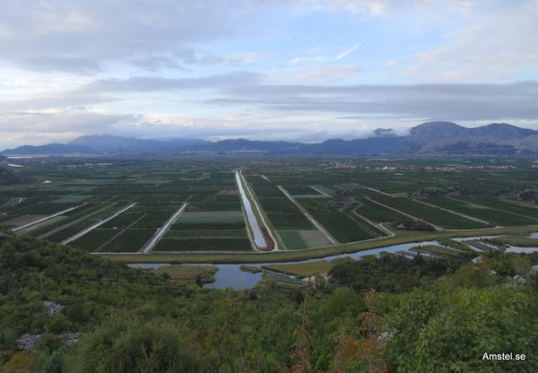 1341-004.JPG