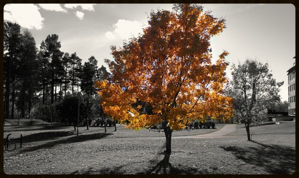 2013-07-20 00.47.41.jpg