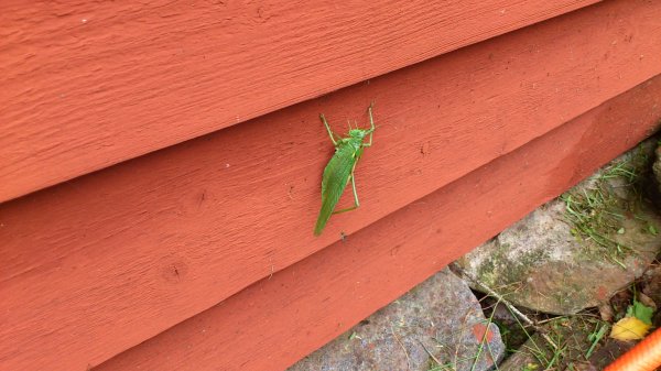 september 2011 015.jpg