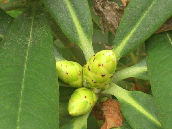 2013-10-13 10.06.27.jpg