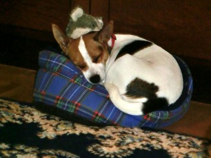 Trångt och mysigt..jpg