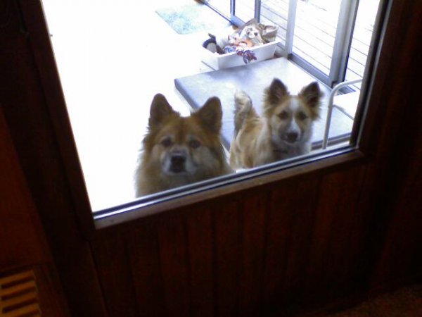 Vill komma in.jpg Vill komma in.jpg