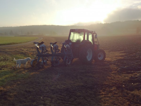 2013-10-15 08.41.26.jpg