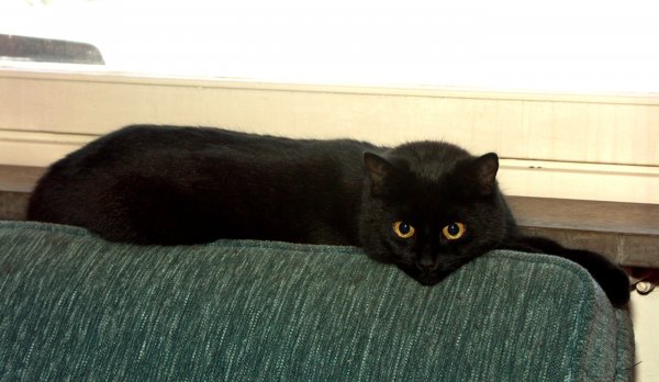 Millan och Ro.jpg Millan och Ro.jpg