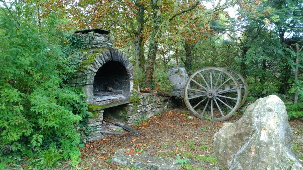 WP_20131015_10_56_14_Pro.jpg WP_20131015_10_56_14_Pro.jpg