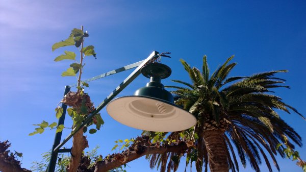 WP_20131016_12_52_11_Pro.jpg WP_20131016_12_52_11_Pro.jpg