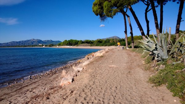 WP_20131016_10_20_37_Pro.jpg WP_20131016_10_20_37_Pro.jpg